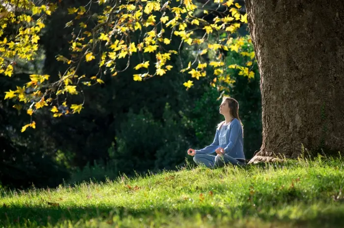 Scientific Evidence Supporting Meditation